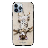 iPhone 11 Pro kissa suojakuoret - Relaxing Cat - Ei