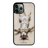 iPhone 12 Pro kissa suojakuoret - Relaxing Cat - Ei