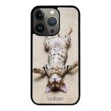 iPhone 13 Pro kissa suojakuoret - Relaxing Cat - Ei