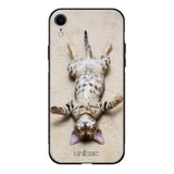 iPhone XR kissa suojakuoret - Relaxing Cat - Ei