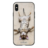 iPhone XS kissa suojakuoret - Relaxing Cat - Ei