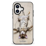 iPhone 17 kissa suojakuoret Relaxing Cat